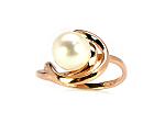 Goldener Ring# 1100047(Au-R)_PE