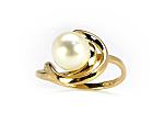 Goldener Ring# 1100047(Au-Y)_PE