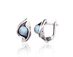 Silver earrings# 2202826(POx-Bk)_PESN-AQ