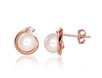 Zelta auskari # 1200254(Au-R)_CZ+PE