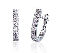 Zelta auskari # 1200272(Au-W)_DI