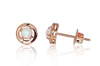 Zelta auskari # 1200949(Au-R)_OP