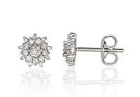 Zelta auskari # 1200980(Au-W)_DI