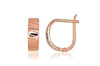 Zelta auskari # 1201100(Au-R)