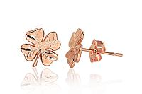 Zelta auskari # 1201116(Au-R)