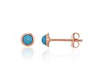 Gold Earrings# 1201688(Au-R)_TR