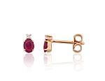 Gold Earrings# 1201766(Au-R+PRh-W)_DI+RB