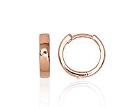 Sudraba auskari ar apaļu aizdāri# 2203121(PAu-R)