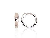 Sudraba auskari ar apaļu aizdāri# 2203121(PRh-Gr)