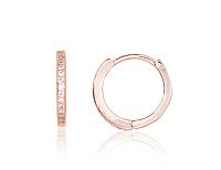 Sudraba auskari ar apaļu aizdāri# 2203123(PAu-R)_CZ