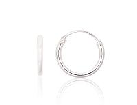 Sudraba auskari-riņķīši# 2203893