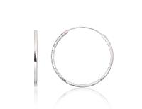 Sudraba auskari-riņķīši# 2203967