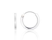 Sudraba auskari-riņķīši# 2203979