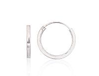 Sudraba auskari-riņķīši# 2203981