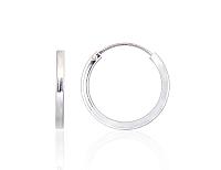 Sudraba auskari-riņķīši# 2203982