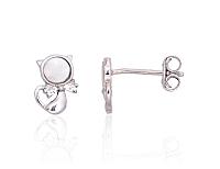 Silberne Ohrstecker# 2204158(PRh-Gr)_CZ+PL