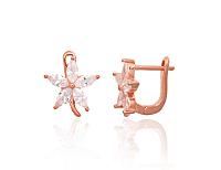 Sudraba auskari # 2204286(PAu-R)_CZ