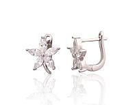 Sudraba auskari # 2204286(PRh-Gr)_CZ