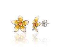 Silberne Ohrstecker# 2204288(PRh-Gr)_CZ-OR+ML-W+ML-Y