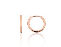 Sudraba auskari ar apaļu aizdāri# 2204303(PAu-R)