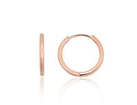 Sudraba auskari ar apaļu aizdāri# 2204304(PAu-R)