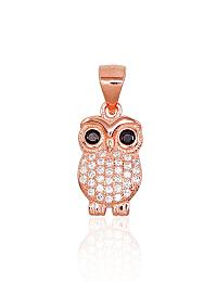 Sudraba kulons# 2301648(PAu-R)_CZ+CZ-BK